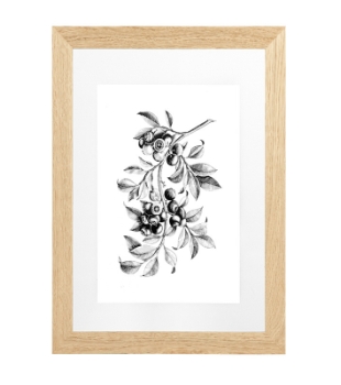 houten lijsten kopen